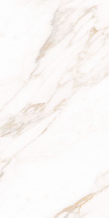 Classy Warm White Matte 24 x 48